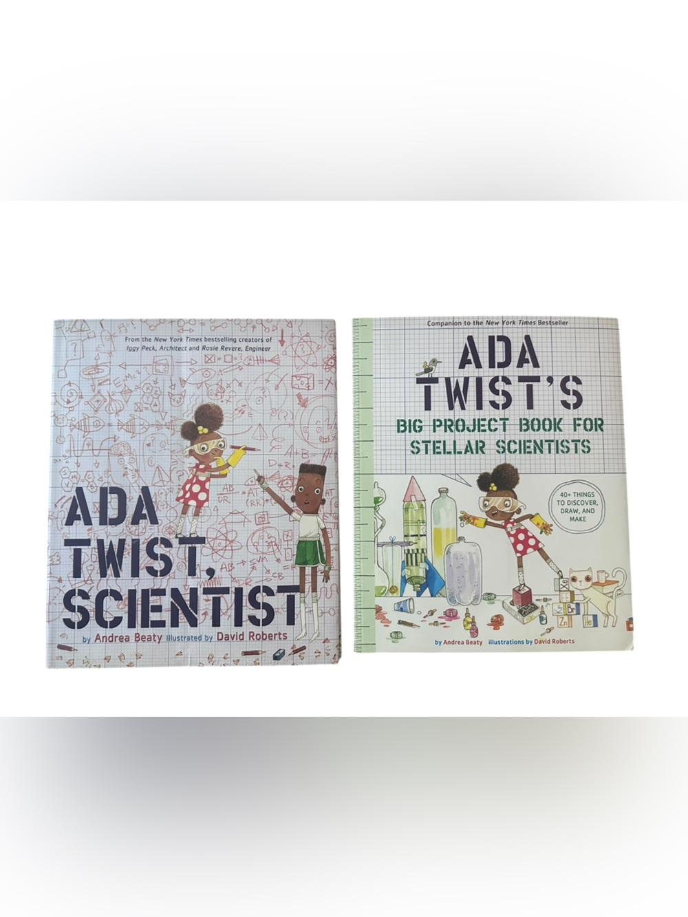 Ada Twist, Scientist Picture Book and Activity Book